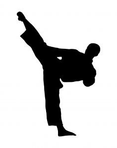 How to Start a Taekwondo School