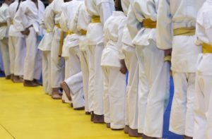 Martial Arts School Insurance